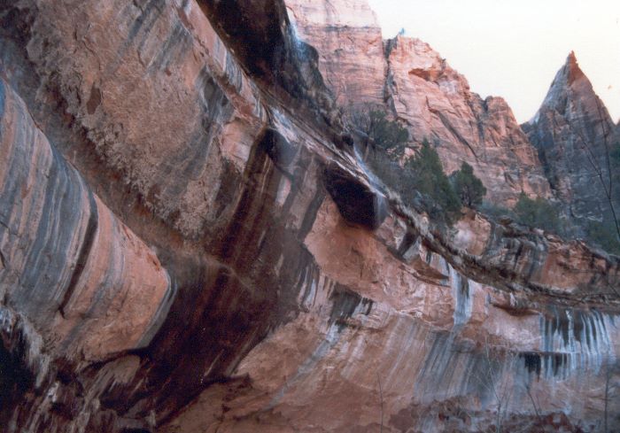 ../Images/075.Zion Canjon.jpg